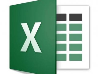 Microsoft Excel® 