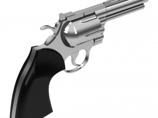 Security and Strategies for Counteracting the Mass Shooter Threat Security and Strategies for Counteracting the Mass Shooter Threat